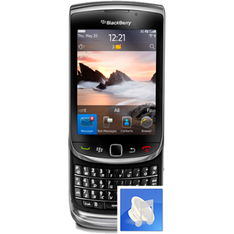 Remplacement écouteur interne Torch 9800