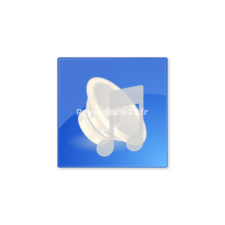 Remplacement Haut Parleur