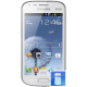 Remplacement Batterie Galaxy S Duos