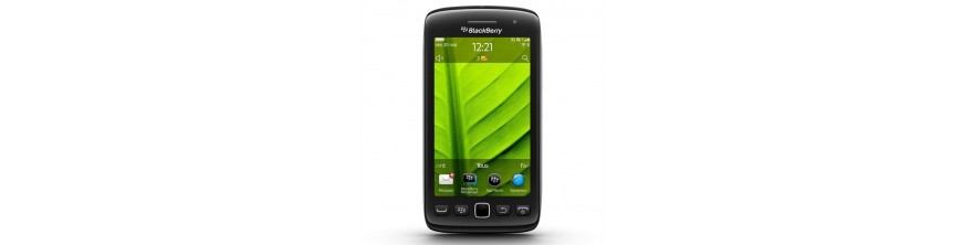 Torch 9860 Torch 9860